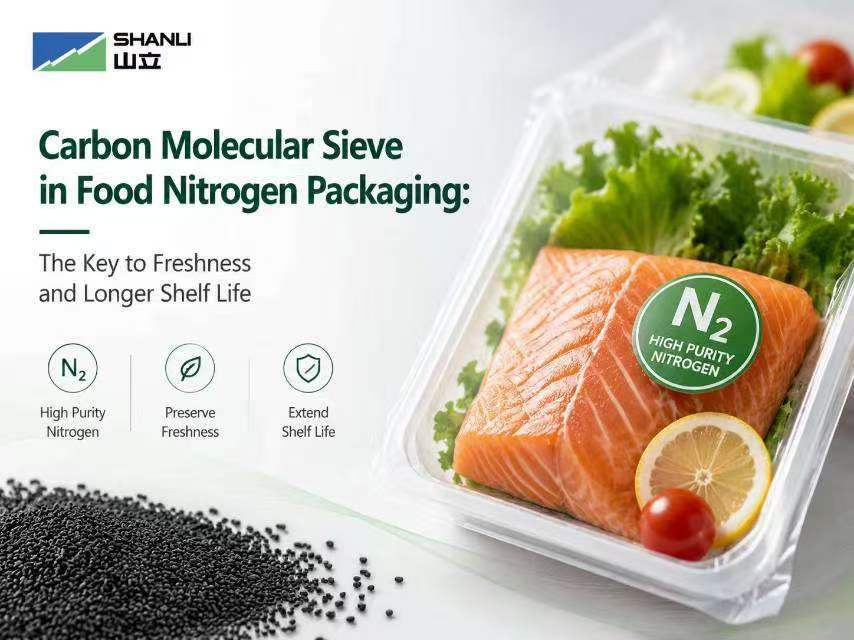 Carbon Molecular Sieve in Food Nitrogen Packaging: The Key to Freshness and Longer Shelf Life